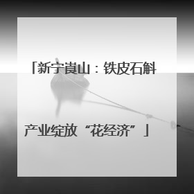 新宁崀山：铁皮石斛产业绽放“花经济”