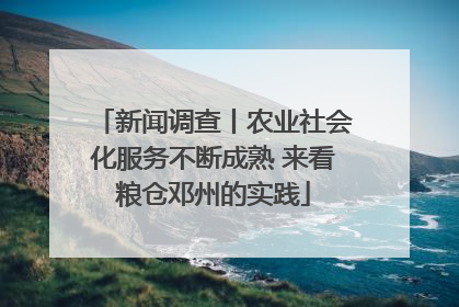 新闻调查丨农业社会化服务不断成熟 来看粮仓邓州的实践