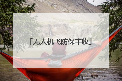 无人机飞防保丰收