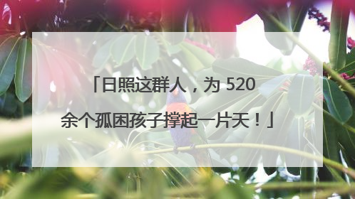 日照这群人，为 520 余个孤困孩子撑起一片天！