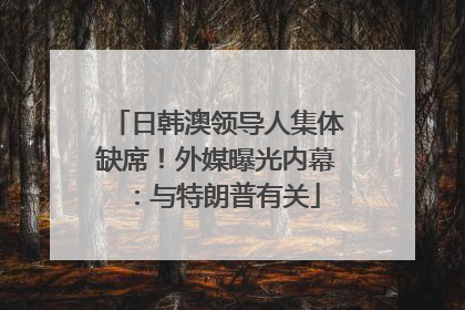 日韩澳领导人集体缺席！外媒曝光内幕：与特朗普有关