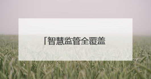 智慧监管全覆盖 阳新县225家集中用餐单位实现“云上明厨亮灶”
