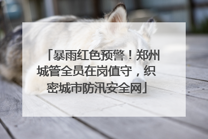 暴雨红色预警！郑州城管全员在岗值守，织密城市防汛安全网
