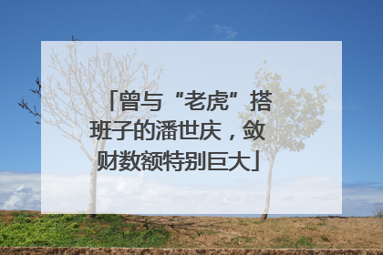 曾与“老虎”搭班子的潘世庆，敛财数额特别巨大