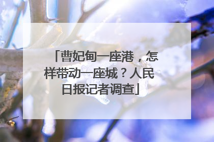 曹妃甸一座港，怎样带动一座城？人民日报记者调查