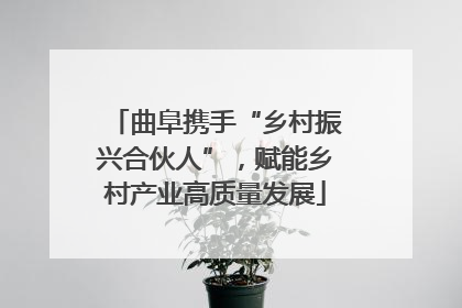 曲阜携手“乡村振兴合伙人”，赋能乡村产业高质量发展