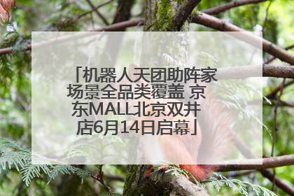 机器人天团助阵家场景全品类覆盖 京东MALL北京双井店6月14日启幕