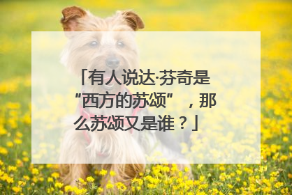 有人说达·芬奇是“西方的苏颂”，那么苏颂又是谁？