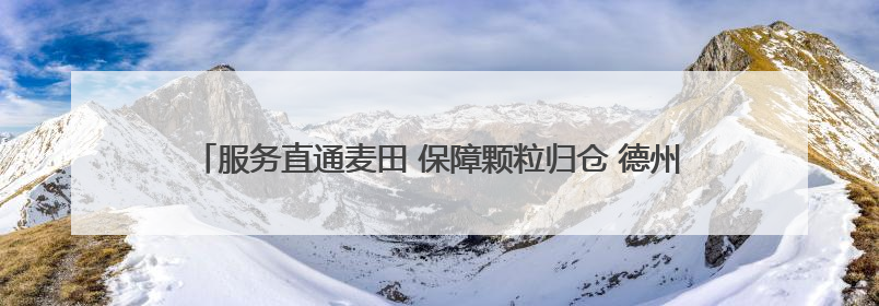 服务直通麦田 保障颗粒归仓 德州市行政审批服务局护航“三夏”生产