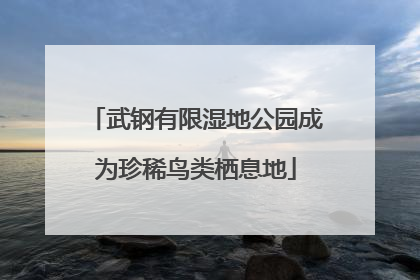 武钢有限湿地公园成为珍稀鸟类栖息地