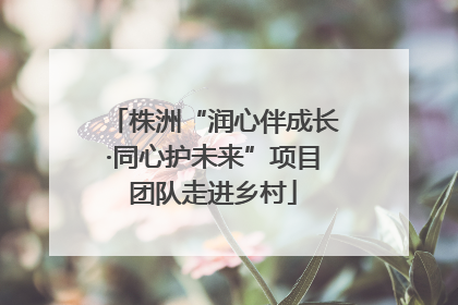 株洲“润心伴成长·同心护未来”项目团队走进乡村