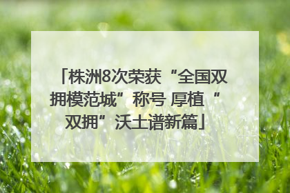 株洲8次荣获“全国双拥模范城”称号 厚植“双拥”沃土谱新篇