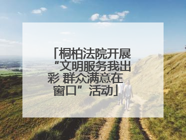 桐柏法院开展“文明服务我出彩 群众满意在窗口”活动