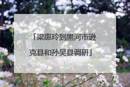 梁惠玲到黑河市逊克县和孙吴县调研