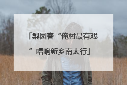 梨园春“俺村最有戏”唱响新乡南太行