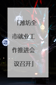 潍坊全市就业工作推进会议召开