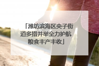 潍坊滨海区央子街道多措并举全力护航粮食丰产丰收