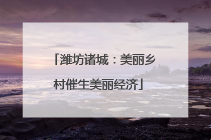 潍坊诸城：美丽乡村催生美丽经济