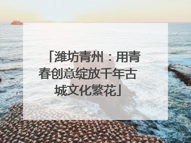 潍坊青州：用青春创意绽放千年古城文化繁花