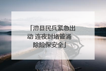 澧县民兵紧急出动 连夜封堵管涌除险保安全
