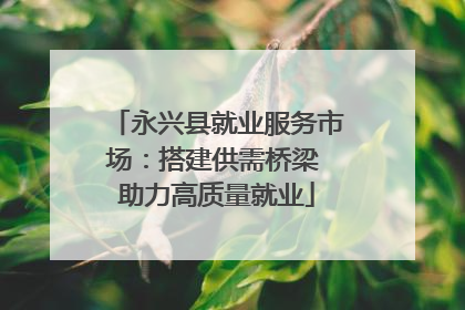 永兴县就业服务市场：搭建供需桥梁 助力高质量就业