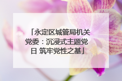 永定区城管局机关党委：沉浸式主题党日 筑牢党性之基