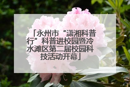 永州市“潇湘科普行”科普进校园暨冷水滩区第二届校园科技活动开幕