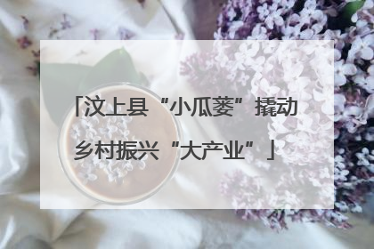 汶上县“小瓜蒌”撬动乡村振兴“大产业”