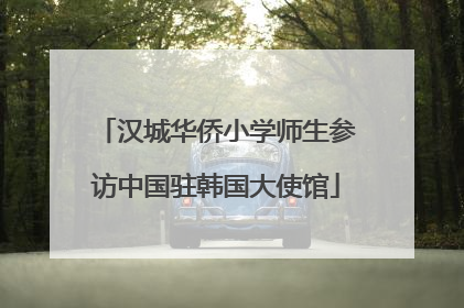 汉城华侨小学师生参访中国驻韩国大使馆