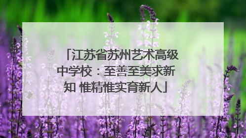 江苏省苏州艺术高级中学校：至善至美求新知 惟精惟实育新人