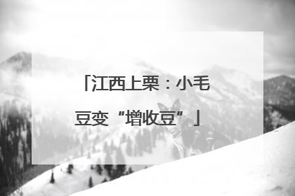 江西上栗：小毛豆变“增收豆”