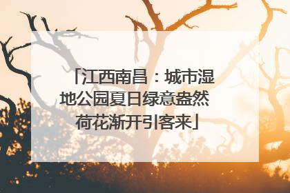 江西南昌：城市湿地公园夏日绿意盎然 荷花渐开引客来