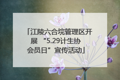 江陵六合垸管理区开展 “5.29计生协会员日”宣传活动