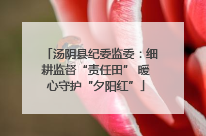 汤阴县纪委监委：细耕监督“责任田” 暖心守护“夕阳红”