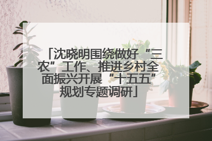 沈晓明围绕做好“三农”工作、推进乡村全面振兴开展“十五五”规划专题调研