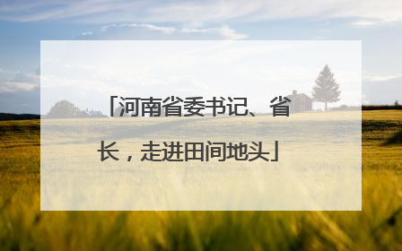 河南省委书记、省长，走进田间地头