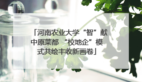 河南农业大学“智”献中原菜都 “校地企”模式共绘丰收新画卷