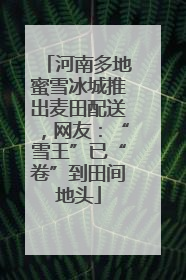 河南多地蜜雪冰城推出麦田配送，网友：“雪王”已“卷”到田间地头
