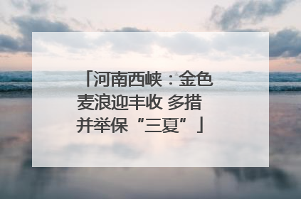 河南西峡：金色麦浪迎丰收 多措并举保“三夏”