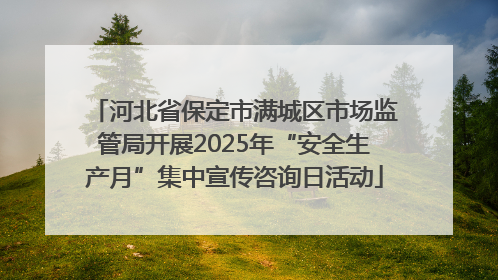 河北省保定市满城区市场监管局开展2025年“安全生产月”集中宣传咨询日活动