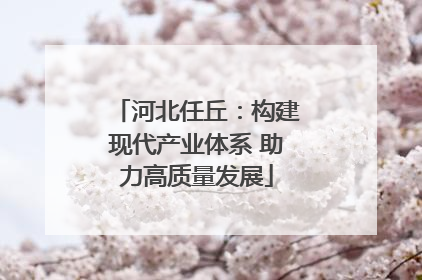 河北任丘：构建现代产业体系 助力高质量发展