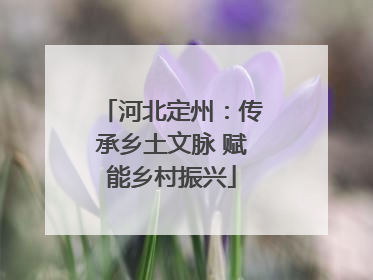 河北定州：传承乡土文脉 赋能乡村振兴
