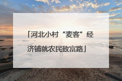 河北小村“麦客”经济铺就农民致富路