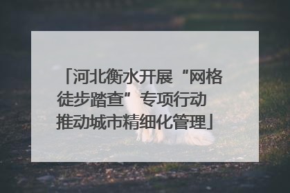 河北衡水开展“网格徒步踏查”专项行动 推动城市精细化管理