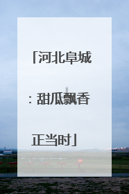 河北阜城：甜瓜飘香正当时