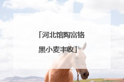 河北馆陶富铬黑小麦丰收
