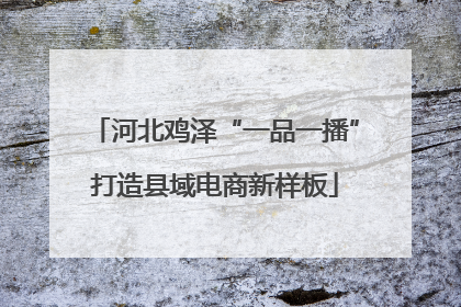 河北鸡泽“一品一播”打造县域电商新样板