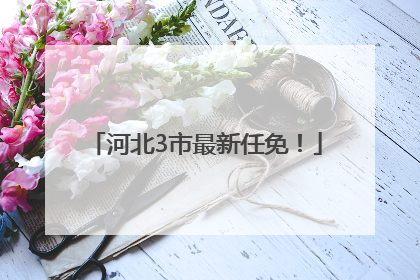 河北3市最新任免！