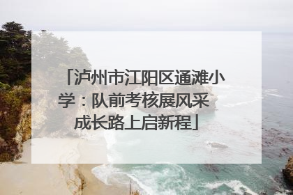 泸州市江阳区通滩小学：队前考核展风采 成长路上启新程