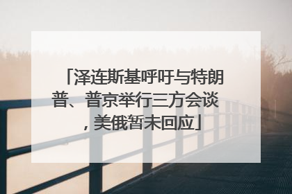 泽连斯基呼吁与特朗普、普京举行三方会谈，美俄暂未回应